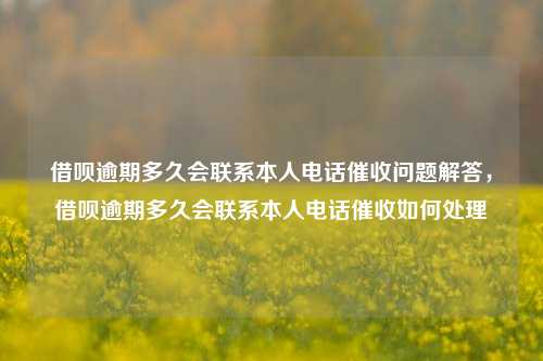 借呗逾期多久会联系本人电话催收问题解答，借呗逾期多久会联系本人电话催收如何处理