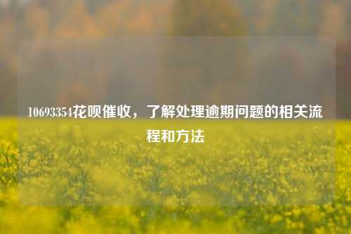 10693354花呗催收，了解处理逾期问题的相关流程和方法