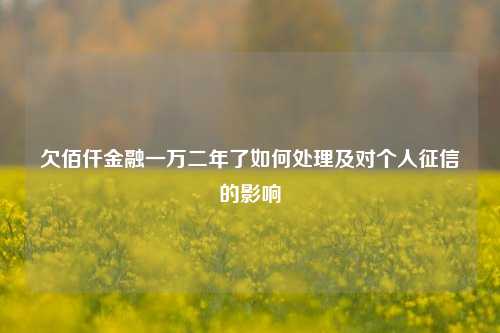 欠佰仟金融一万二年了如何处理及对个人征信的影响