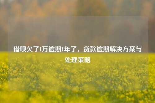 借呗欠了1万逾期1年了，贷款逾期解决方案与处理策略