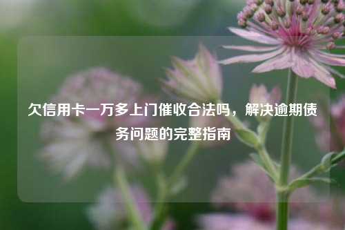 欠信用卡一万多上门催收合法吗，解决逾期债务问题的完整指南