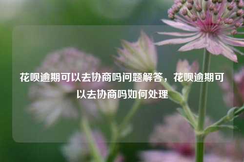 花呗逾期可以去协商吗问题解答，花呗逾期可以去协商吗如何处理