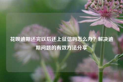 花呗逾期还完以后还上征信吗怎么办？解决逾期问题的有效方法分享