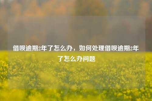 借呗逾期2年了怎么办，如何处理借呗逾期2年了怎么办问题