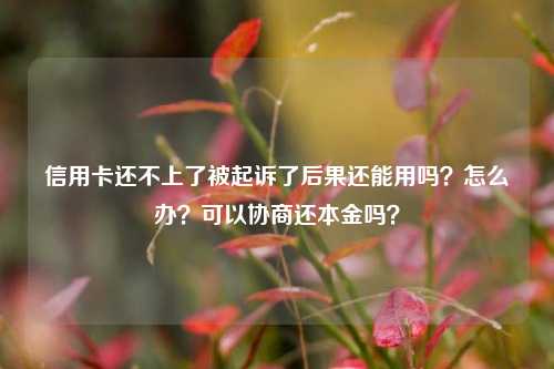 信用卡还不上了被起诉了后果还能用吗？怎么办？可以协商还本金吗？