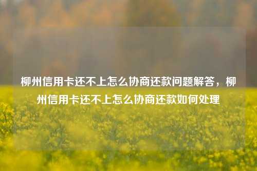 柳州信用卡还不上怎么协商还款问题解答，柳州信用卡还不上怎么协商还款如何处理