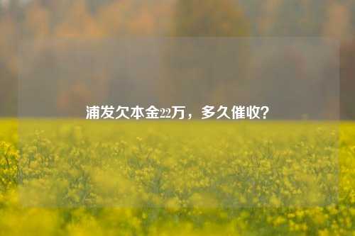 浦发欠本金22万，多久催收？