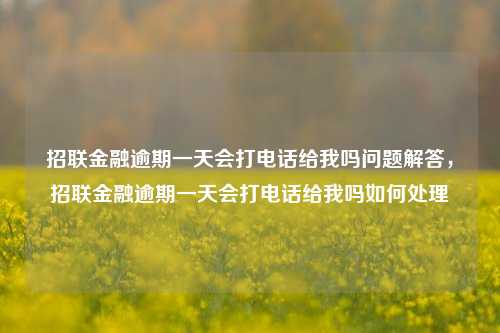 招联金融逾期一天会打电话给我吗问题解答，招联金融逾期一天会打电话给我吗如何处理