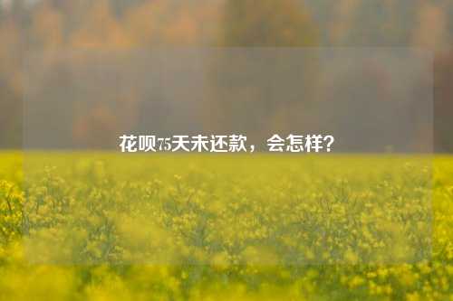 花呗75天未还款，会怎样？