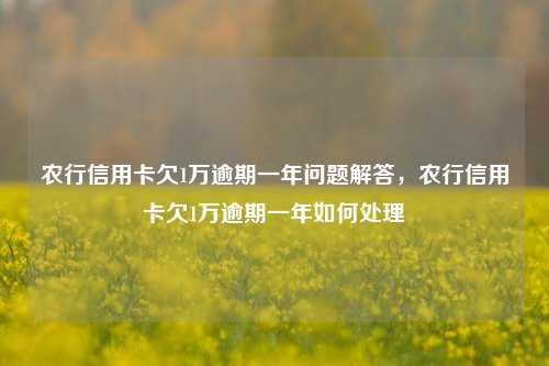 农行信用卡欠1万逾期一年问题解答，农行信用卡欠1万逾期一年如何处理