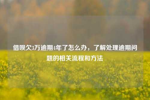 借呗欠3万逾期4年了怎么办，了解处理逾期问题的相关流程和方法