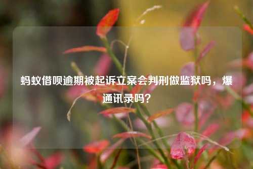 蚂蚁借呗逾期被起诉立案会判刑做监狱吗，爆通讯录吗？