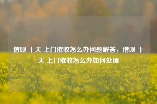 借呗 十天 上门催收怎么办问题解答，借呗 十天 上门催收怎么办如何处理