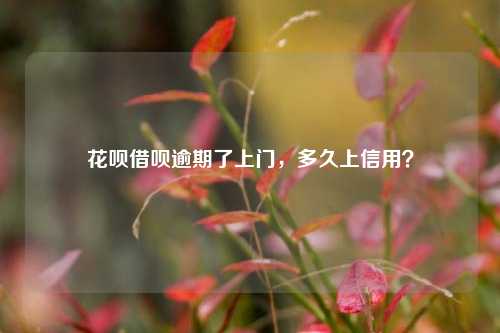 花呗借呗逾期了上门，多久上信用？