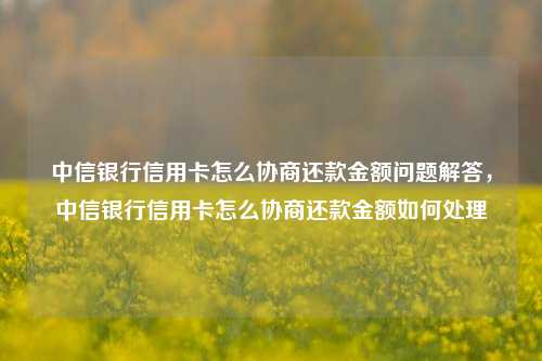 中信银行信用卡怎么协商还款金额问题解答，中信银行信用卡怎么协商还款金额如何处理