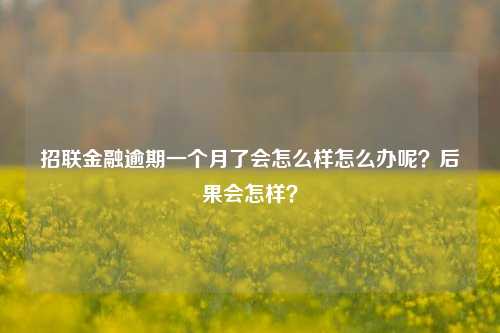 招联金融逾期一个月了会怎么样怎么办呢？后果会怎样？