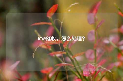 0769催收，怎么处理？