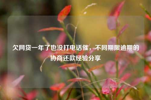 欠网贷一年了也没打电话催，不同期限逾期的协商还款经验分享