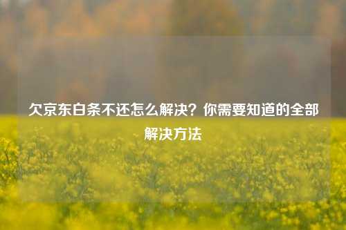 欠京东白条不还怎么解决？你需要知道的全部解决方法