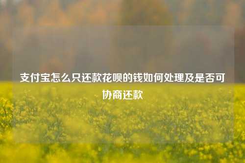 支付宝怎么只还款花呗的钱如何处理及是否可协商还款