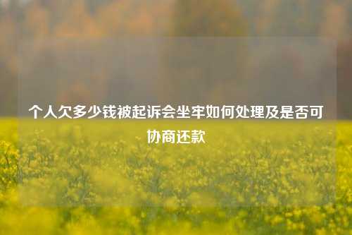 个人欠多少钱被起诉会坐牢如何处理及是否可协商还款