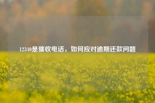 12340是催收电话，如何应对逾期还款问题