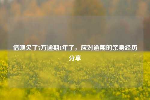 借呗欠了7万逾期1年了，应对逾期的亲身经历分享