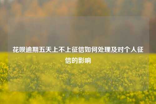 花呗逾期五天上不上征信如何处理及对个人征信的影响