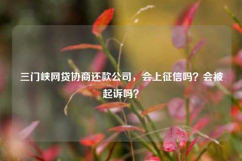 三门峡网贷协商还款公司，会上征信吗？会被起诉吗？