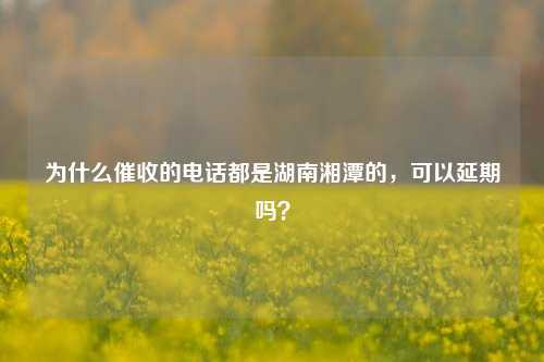 为什么催收的电话都是湖南湘潭的，可以延期吗？