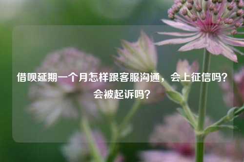 借呗延期一个月怎样跟客服沟通，会上征信吗？会被起诉吗？