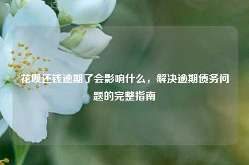 花呗还钱逾期了会影响什么，解决逾期债务问题的完整指南