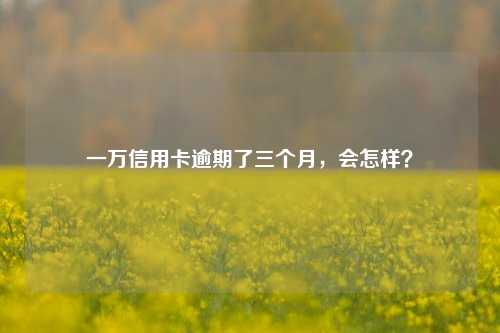 一万信用卡逾期了三个月，会怎样？