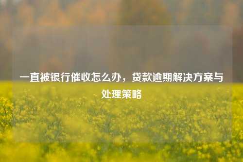 一直被银行催收怎么办，贷款逾期解决方案与处理策略