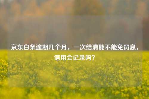 京东白条逾期几个月，一次结清能不能免罚息，信用会记录吗？