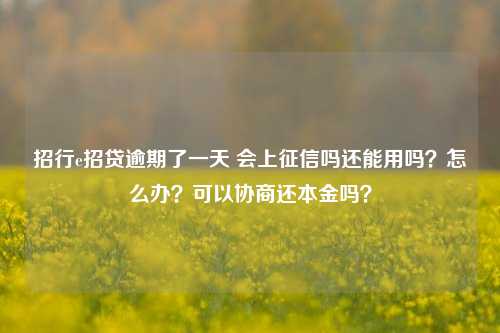 招行e招贷逾期了一天 会上征信吗还能用吗？怎么办？可以协商还本金吗？