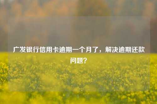 广发银行信用卡逾期一个月了，解决逾期还款问题？