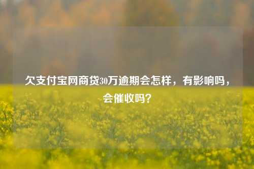 欠支付宝网商贷30万逾期会怎样，有影响吗，会催收吗？