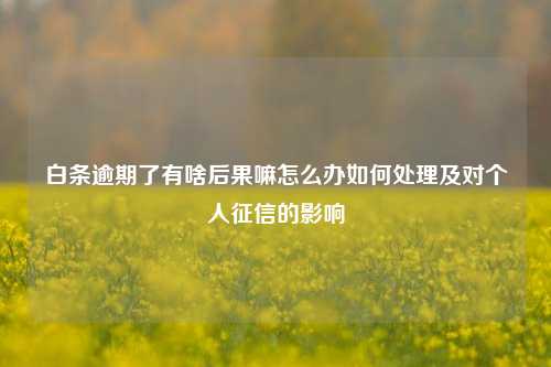 白条逾期了有啥后果嘛怎么办如何处理及对个人征信的影响