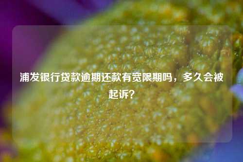 浦发银行贷款逾期还款有宽限期吗，多久会被起诉？