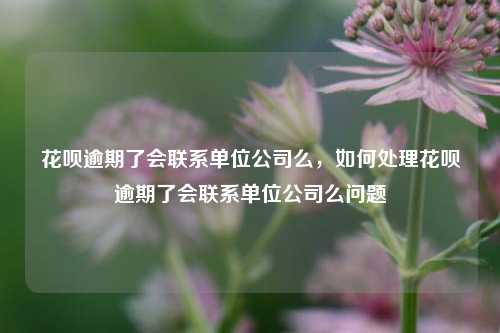 花呗逾期了会联系单位公司么，如何处理花呗逾期了会联系单位公司么问题