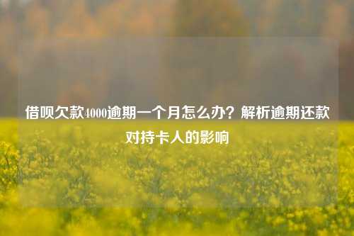 借呗欠款4000逾期一个月怎么办？解析逾期还款对持卡人的影响