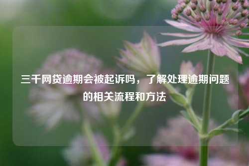 三千网贷逾期会被起诉吗，了解处理逾期问题的相关流程和方法