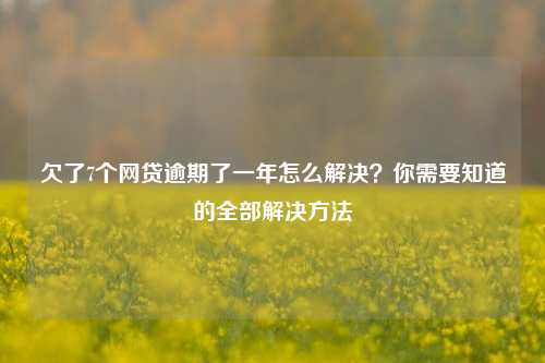 欠了7个网贷逾期了一年怎么解决？你需要知道的全部解决方法