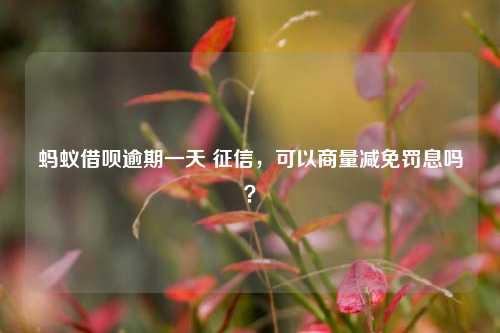 蚂蚁借呗逾期一天 征信，可以商量减免罚息吗？