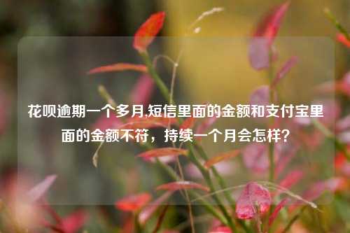 花呗逾期一个多月,短信里面的金额和支付宝里面的金额不符，持续一个月会怎样？