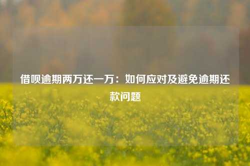 借呗逾期两万还一万：如何应对及避免逾期还款问题