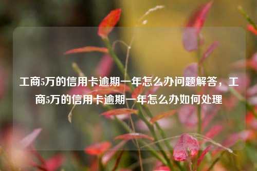 工商5万的信用卡逾期一年怎么办问题解答，工商5万的信用卡逾期一年怎么办如何处理