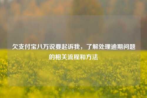 欠支付宝八万说要起诉我，了解处理逾期问题的相关流程和方法