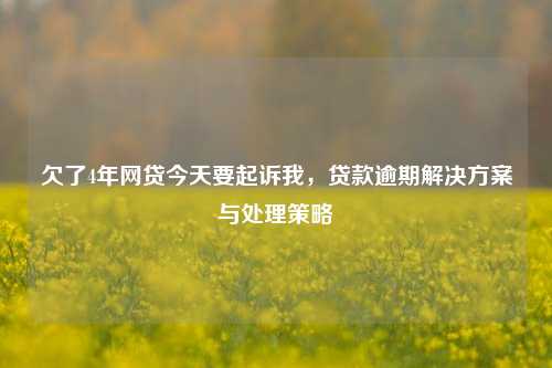 欠了4年网贷今天要起诉我，贷款逾期解决方案与处理策略